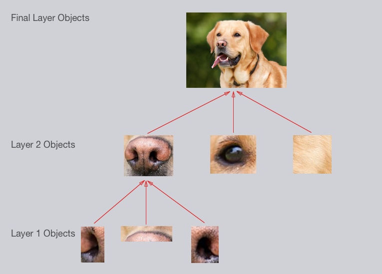 heirarchy-diagram.jpg